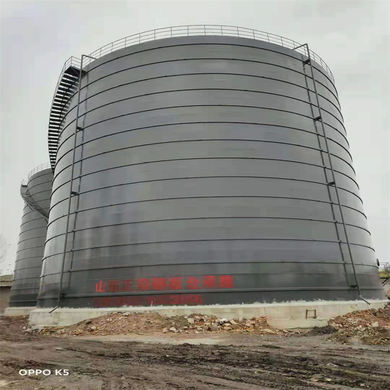 鲤城3万吨大型钢板库