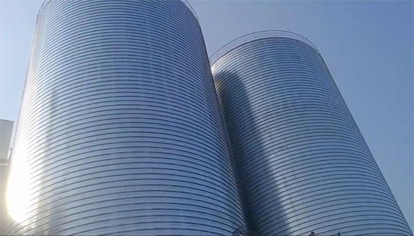 鲤城2座混凝土高架卷板仓